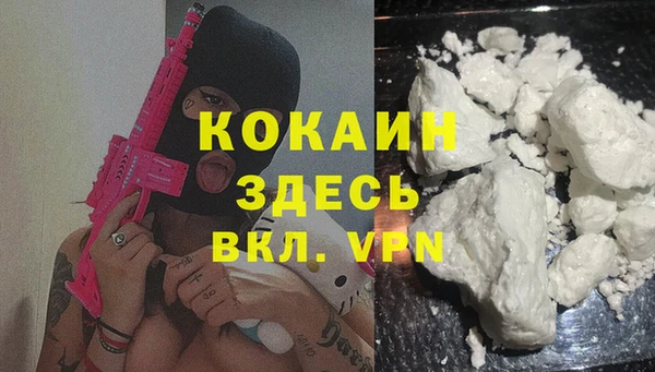 СК Белокуриха